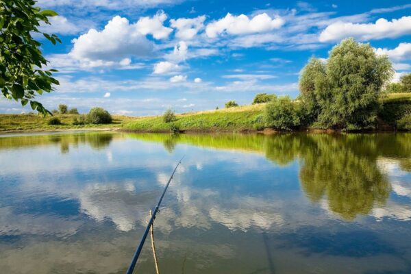 fishing-lake-wallpaper-e1536076480684-600x400 (1)